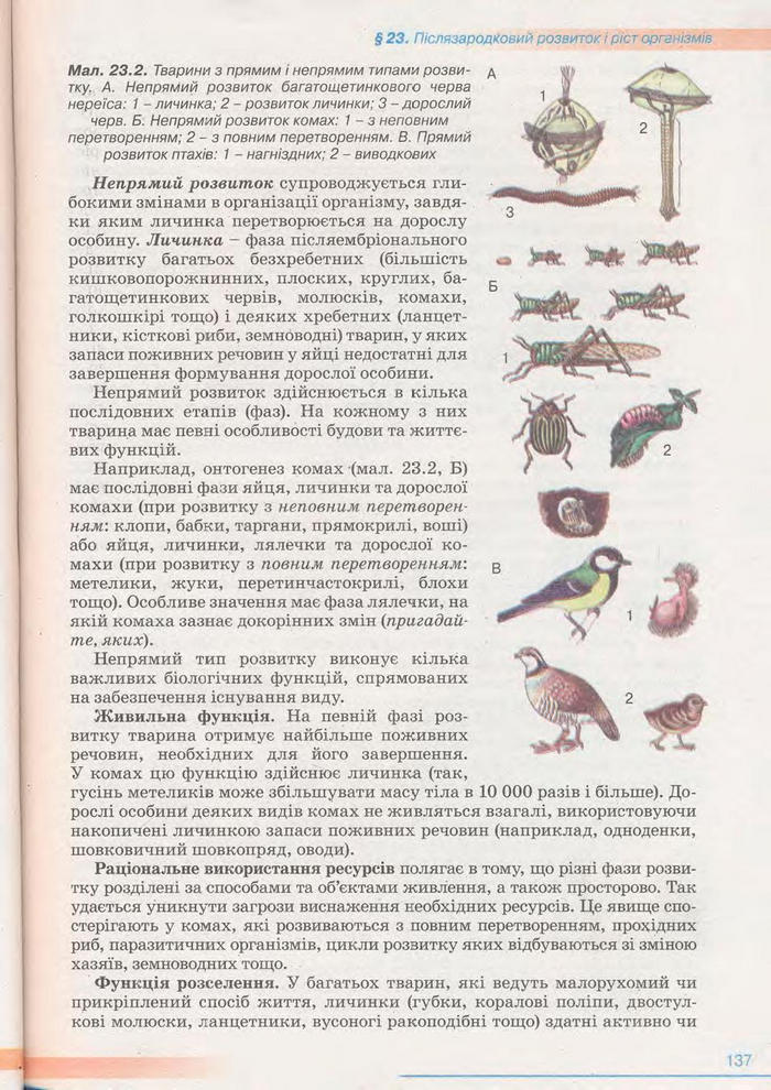 Біологія 11 клас Балан