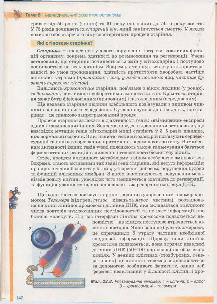 Біологія 11 клас Балан