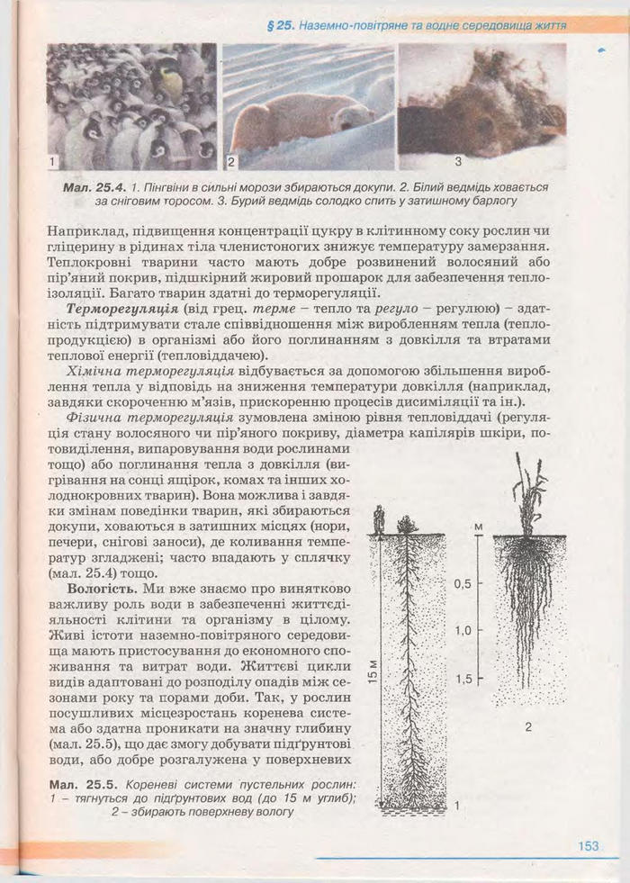 Біологія 11 клас Балан