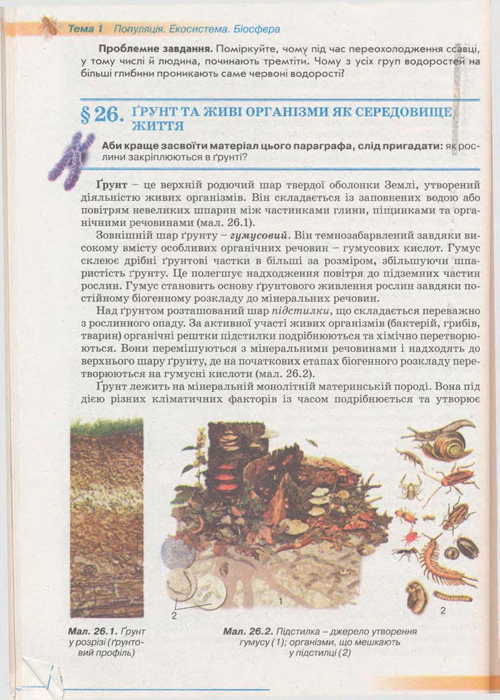 Біологія 11 клас Балан
