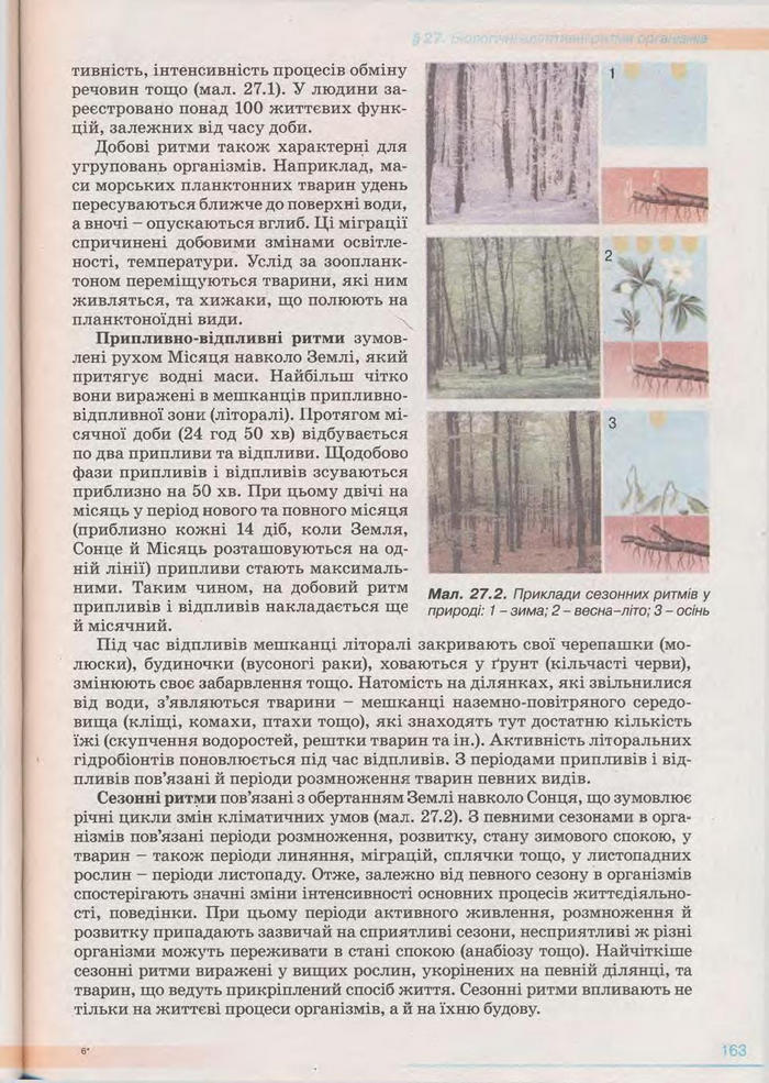 Біологія 11 клас Балан