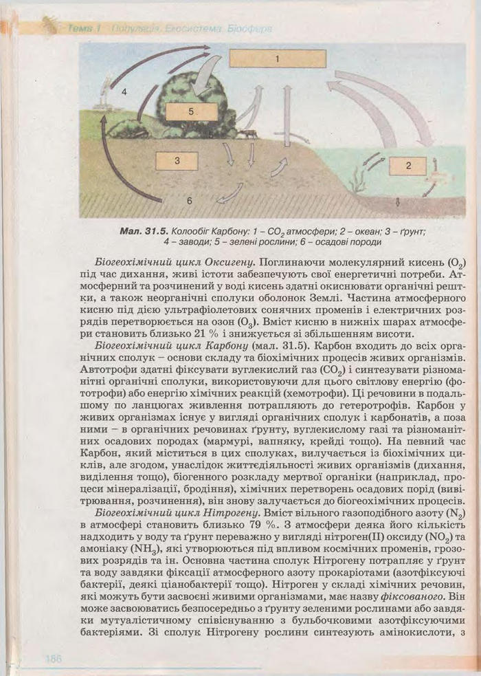 Біологія 11 клас Балан