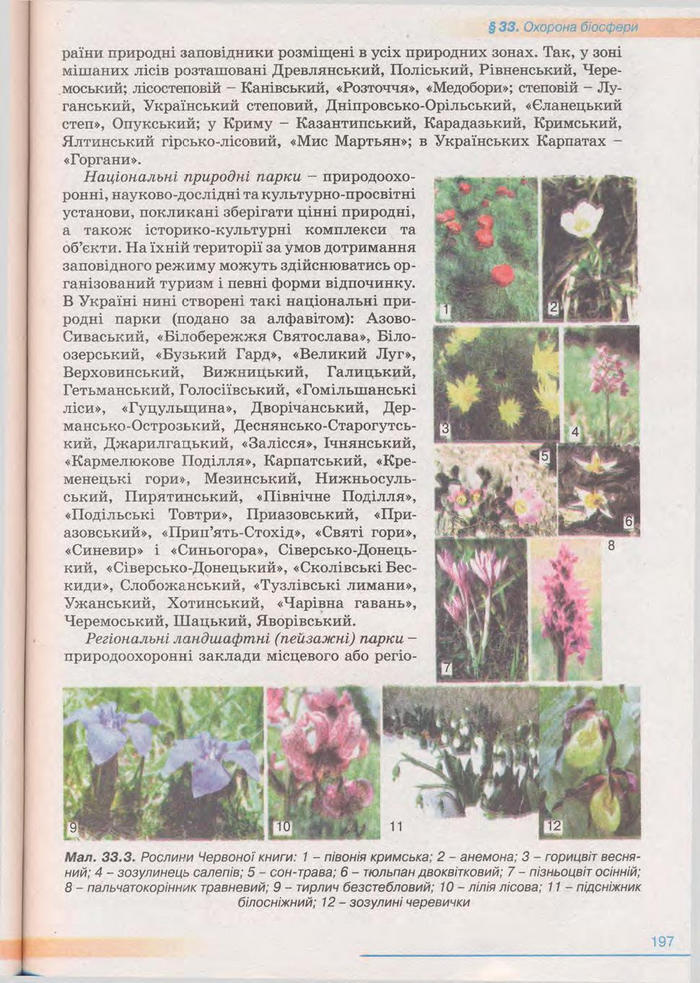 Біологія 11 клас Балан