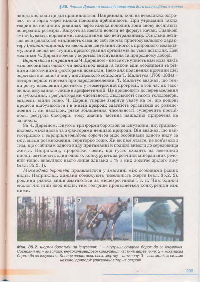 Біологія 11 клас Балан