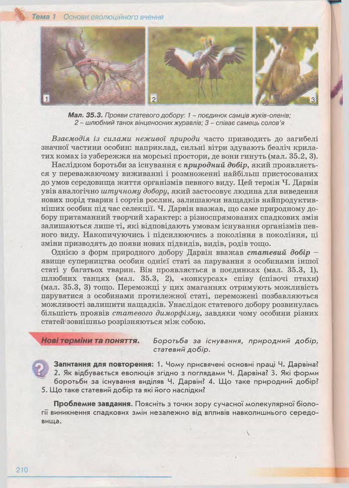 Біологія 11 клас Балан
