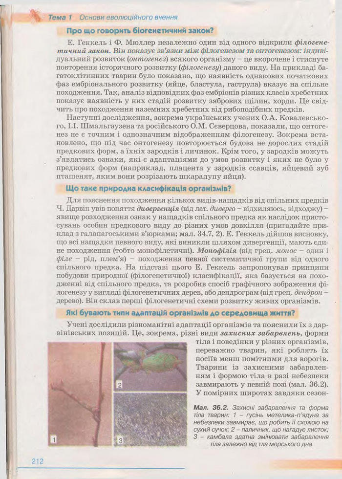 Біологія 11 клас Балан