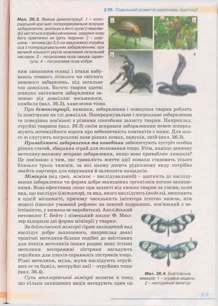 Біологія 11 клас Балан