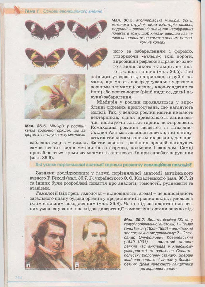 Біологія 11 клас Балан