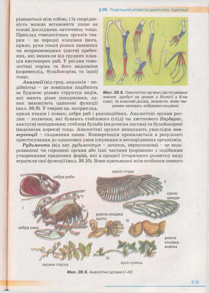 Біологія 11 клас Балан