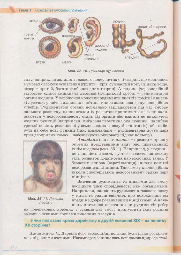 Біологія 11 клас Балан