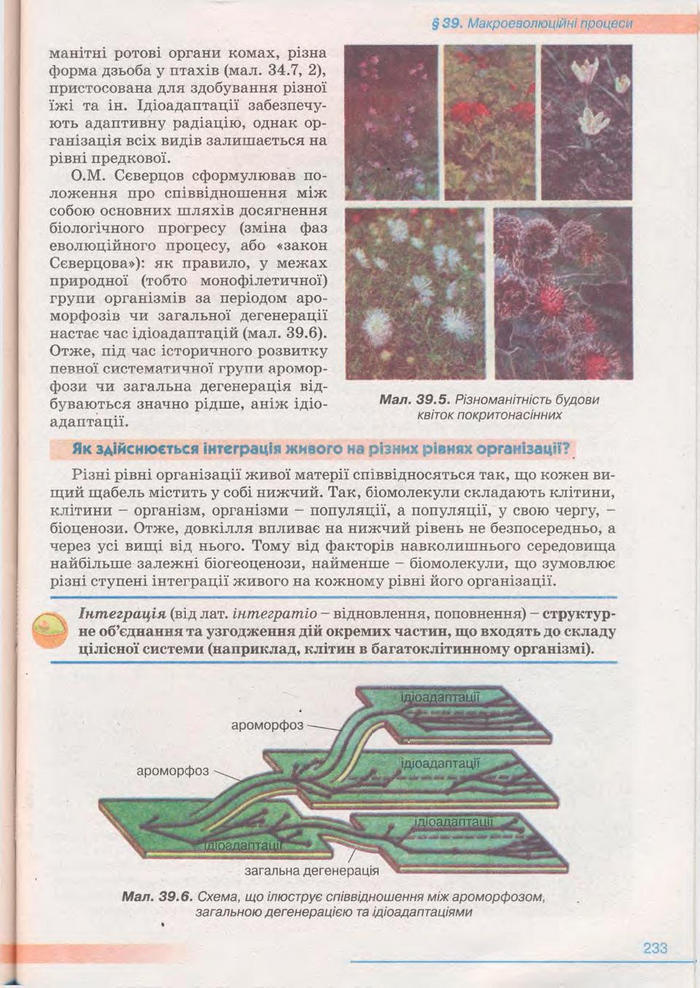 Біологія 11 клас Балан