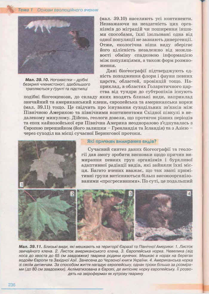 Біологія 11 клас Балан