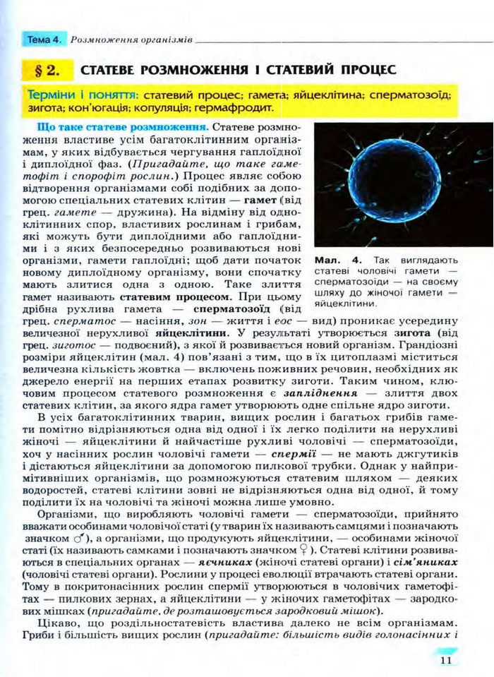 Біологія 11 клас Межжерін