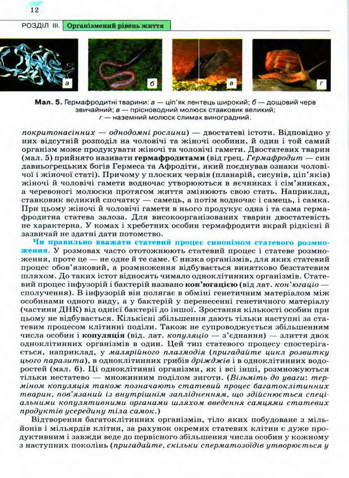 Біологія 11 клас Межжерін