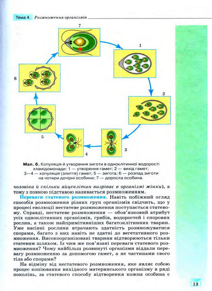 Біологія 11 клас Межжерін