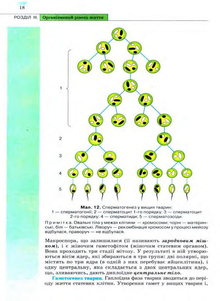 Біологія 11 клас Межжерін