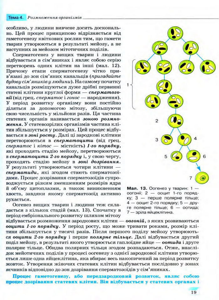 Біологія 11 клас Межжерін