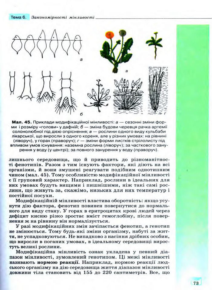 Біологія 11 клас Межжерін