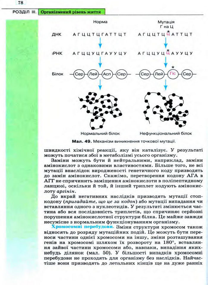 Біологія 11 клас Межжерін