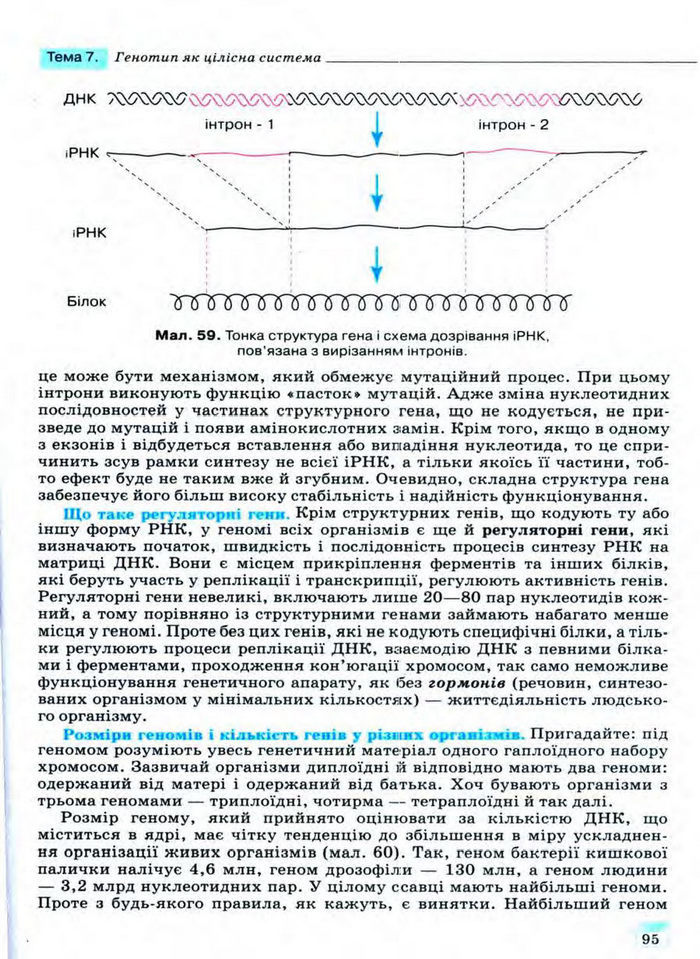 Біологія 11 клас Межжерін