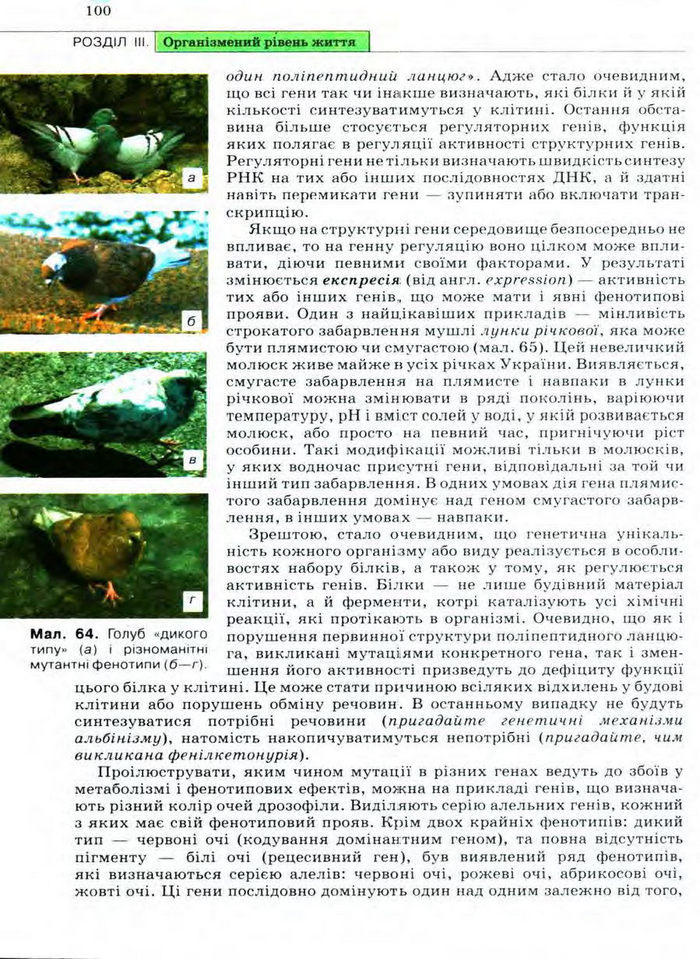 Біологія 11 клас Межжерін