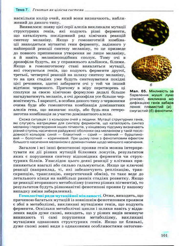 Біологія 11 клас Межжерін