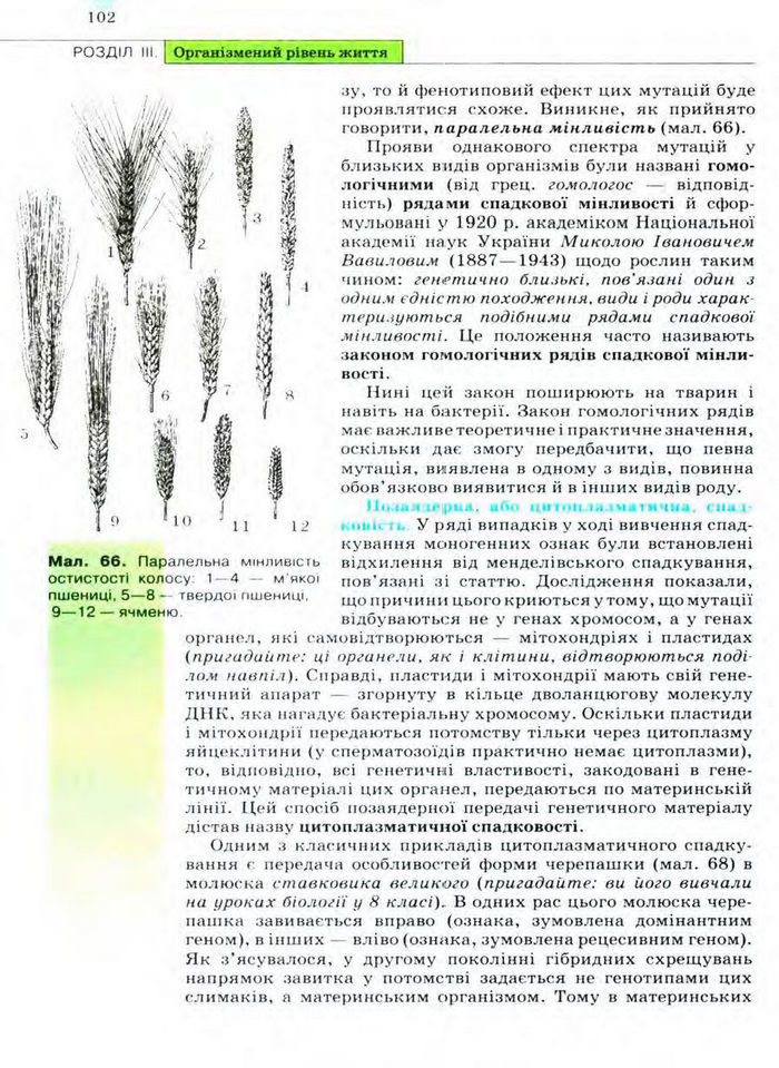 Біологія 11 клас Межжерін