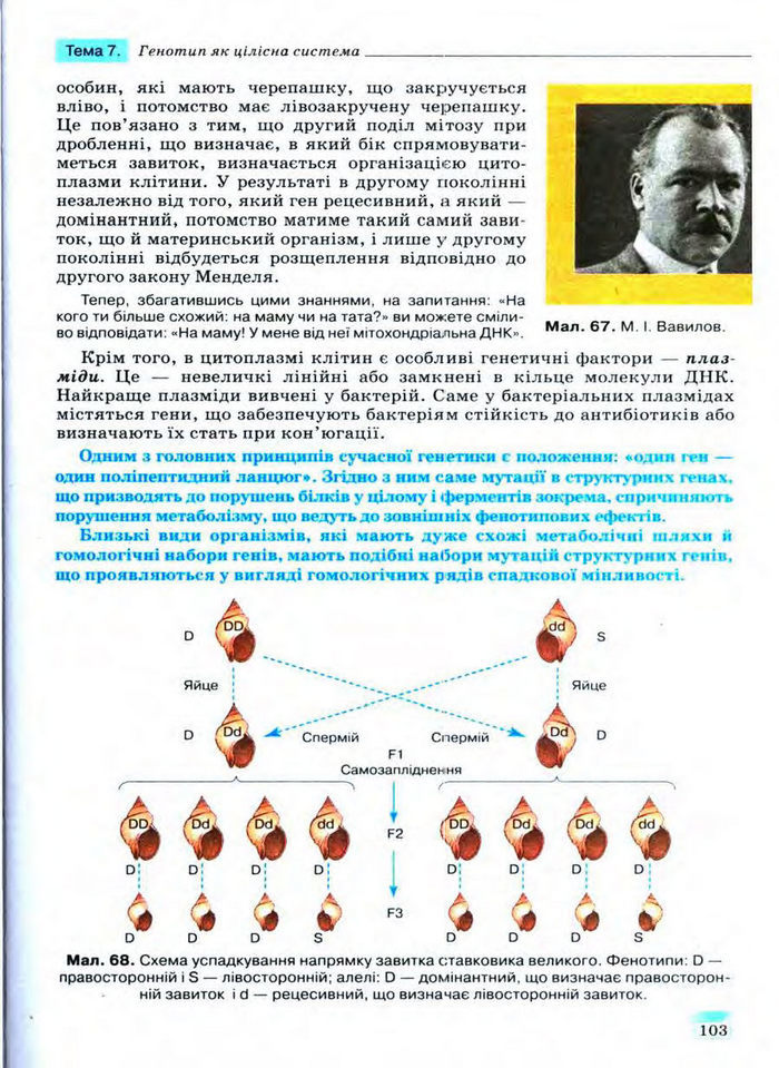 Біологія 11 клас Межжерін
