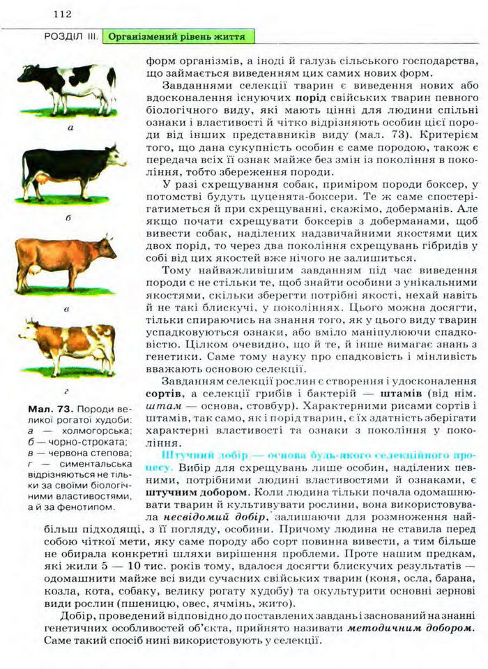 Біологія 11 клас Межжерін