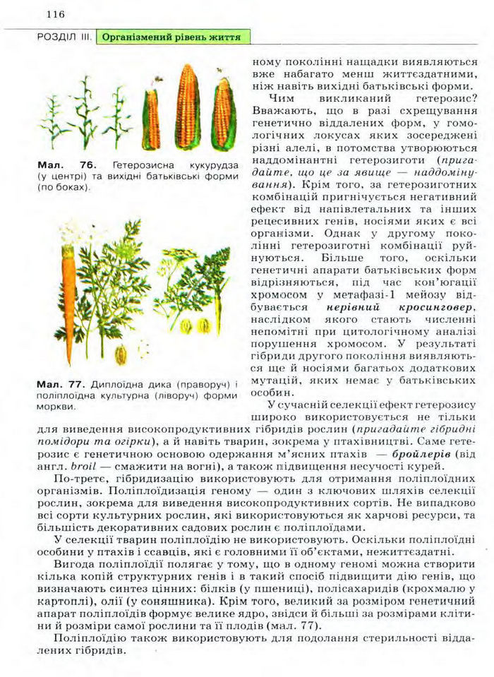 Біологія 11 клас Межжерін