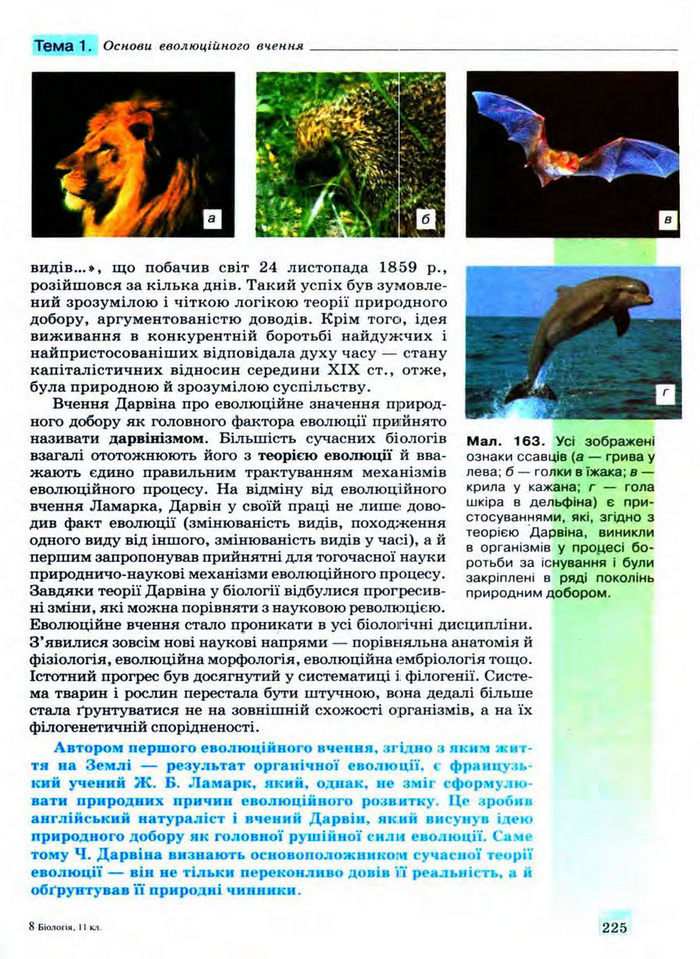 Біологія 11 клас Межжерін