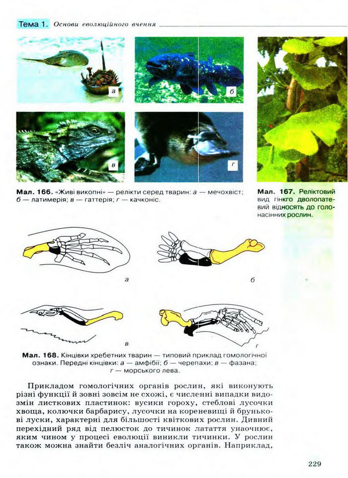 Біологія 11 клас Межжерін