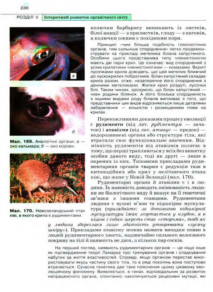 Біологія 11 клас Межжерін
