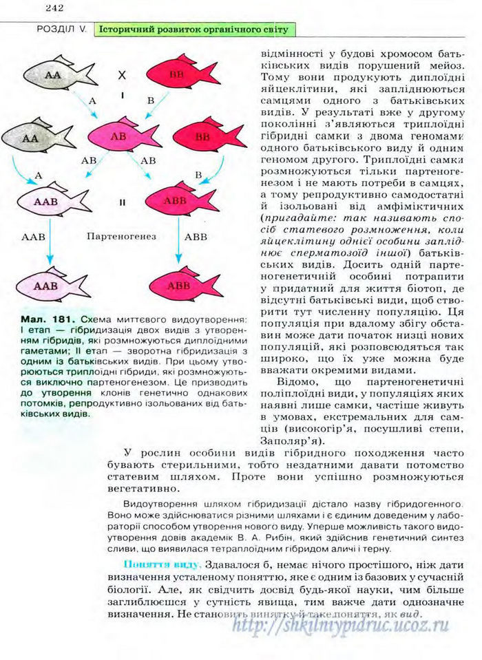 Біологія 11 клас Межжерін