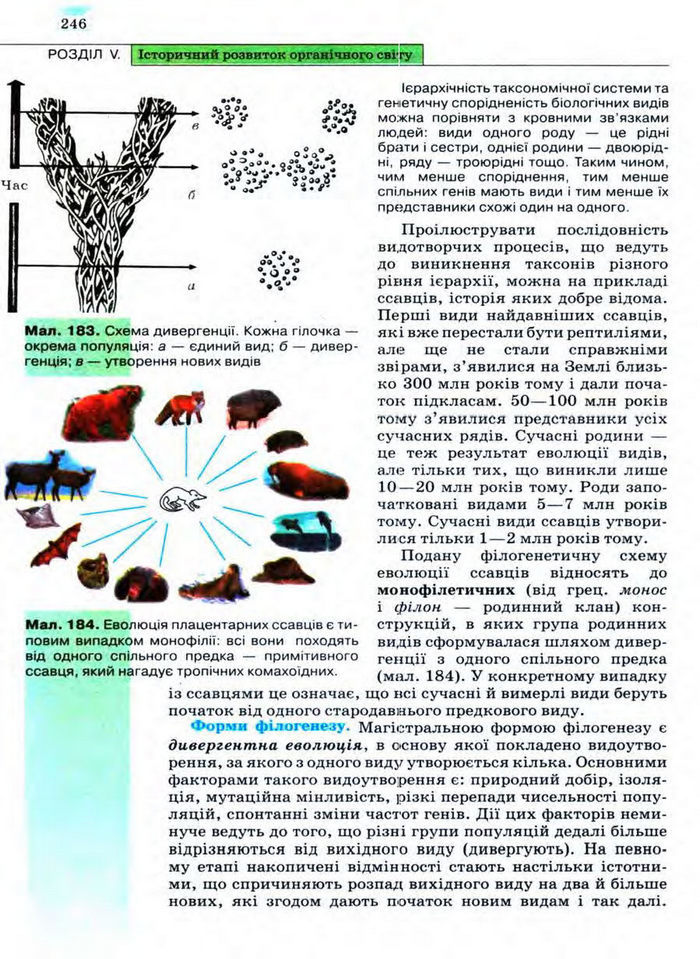 Біологія 11 клас Межжерін