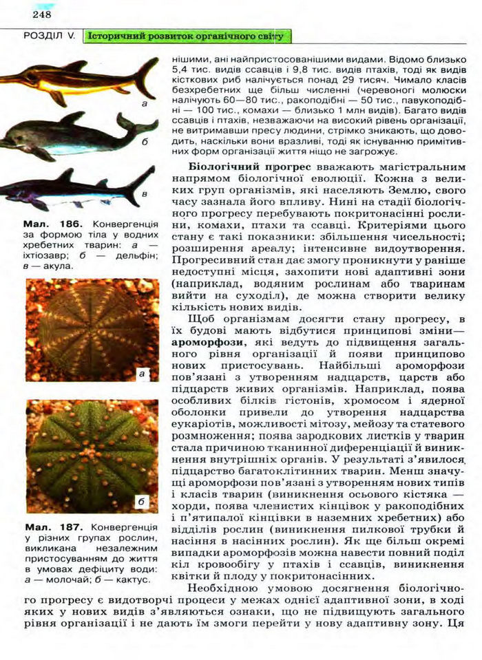 Біологія 11 клас Межжерін
