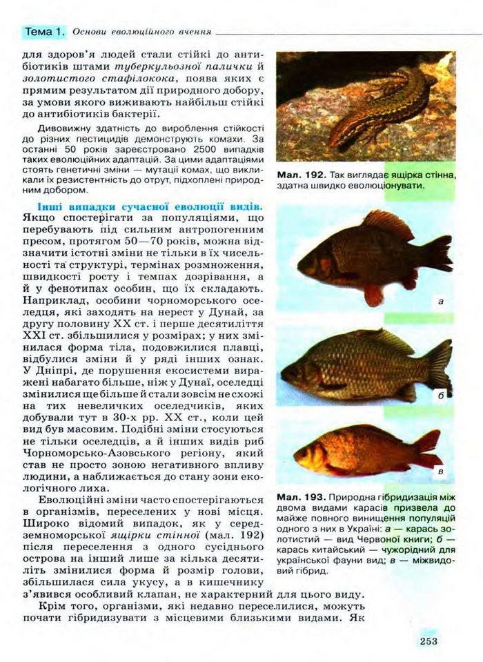 Біологія 11 клас Межжерін