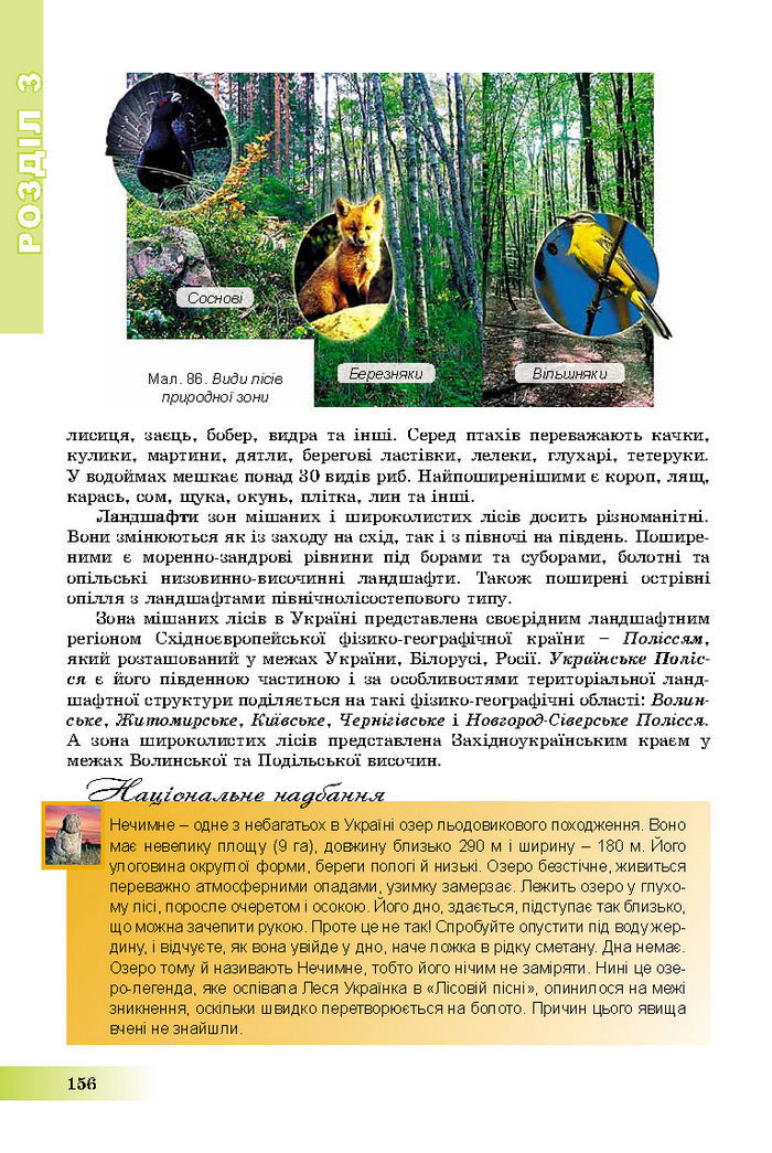 Підручник Географія 8 клас Пестушко 2016