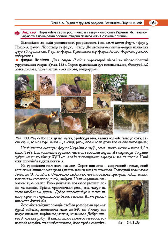 Підручник Географія 8 клас Кобернік 2016