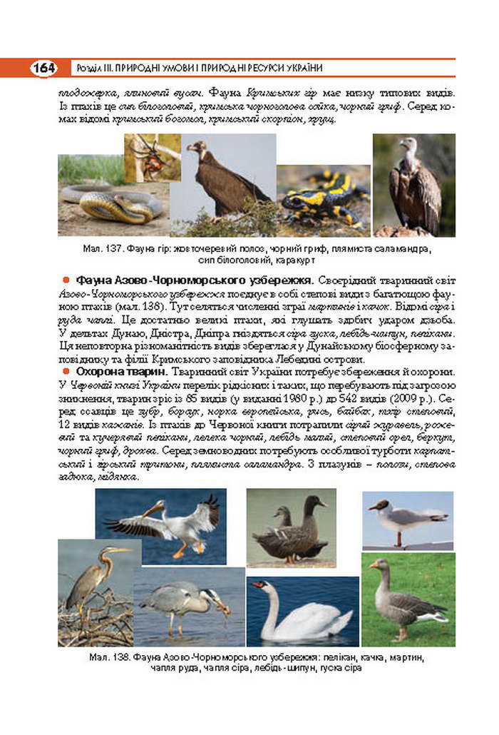 Підручник Географія 8 клас Кобернік 2016