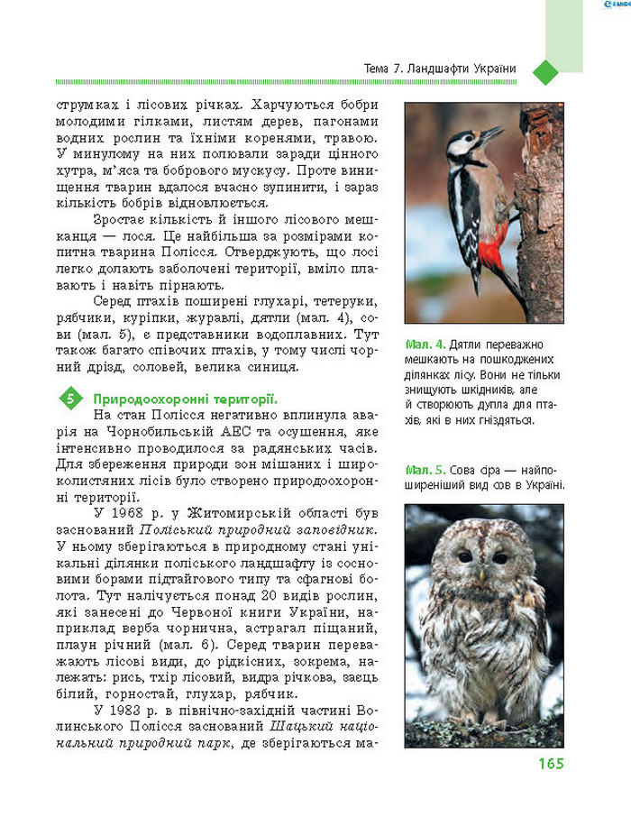 Підручник Географія 8 клас Довгань 2016