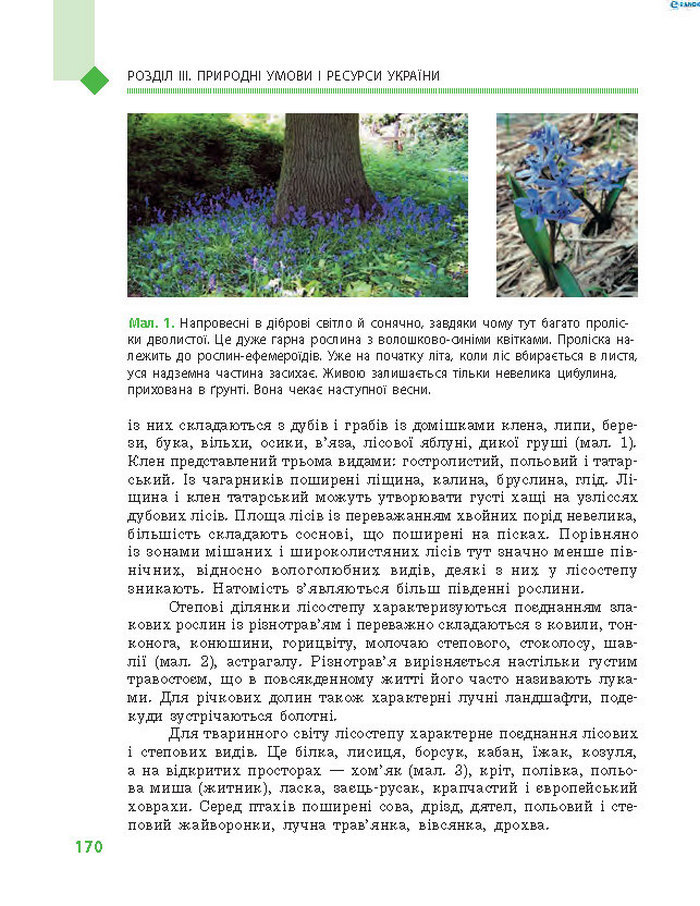 Підручник Географія 8 клас Довгань 2016