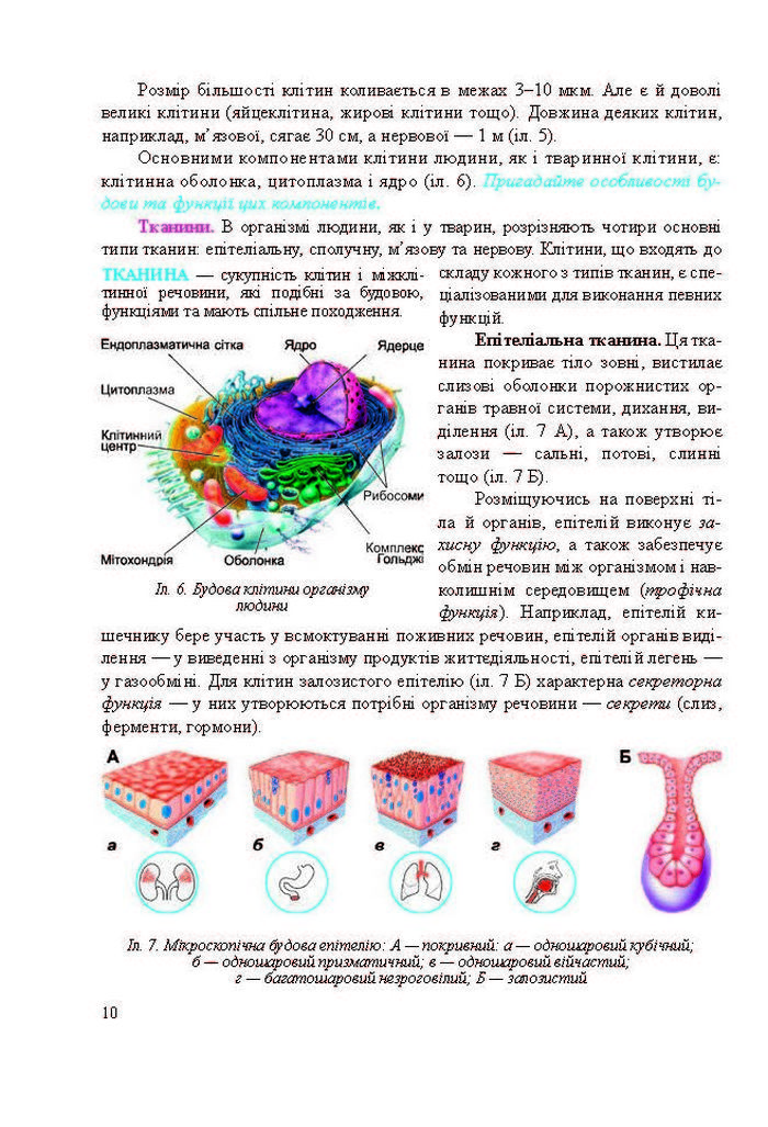 Підручник Біологія 8 клас Міщук 2016 (Укр.)