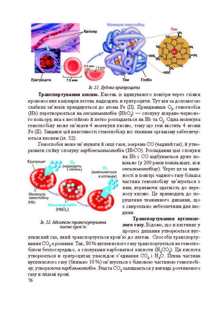 Підручник Біологія 8 клас Міщук 2016 (Укр.)