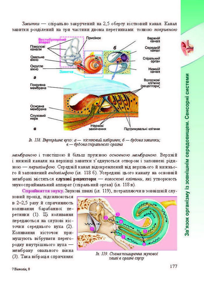 Підручник Біологія 8 клас Міщук 2016 (Укр.)