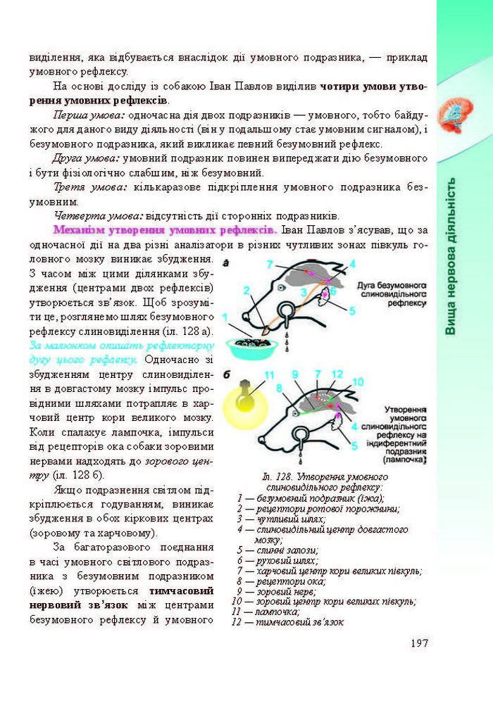 Підручник Біологія 8 клас Міщук 2016 (Укр.)