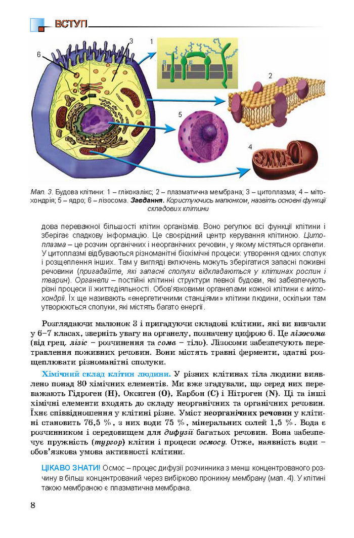 Підручник Біологія 8 клас Матяш 2016 (Укр.)
