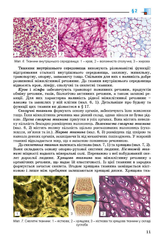 Підручник Біологія 8 клас Матяш 2016 (Укр.)