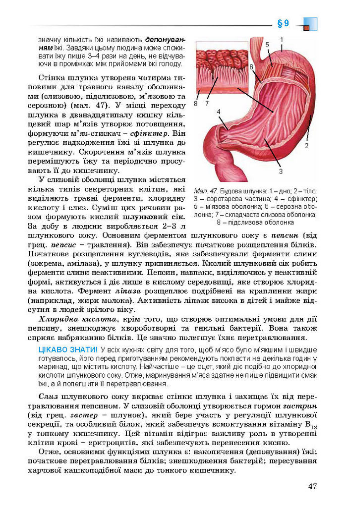 Підручник Біологія 8 клас Матяш 2016 (Укр.)