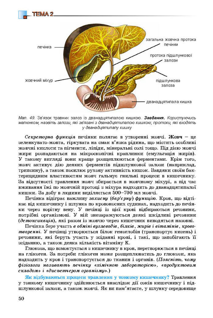 Підручник Біологія 8 клас Матяш 2016 (Укр.)